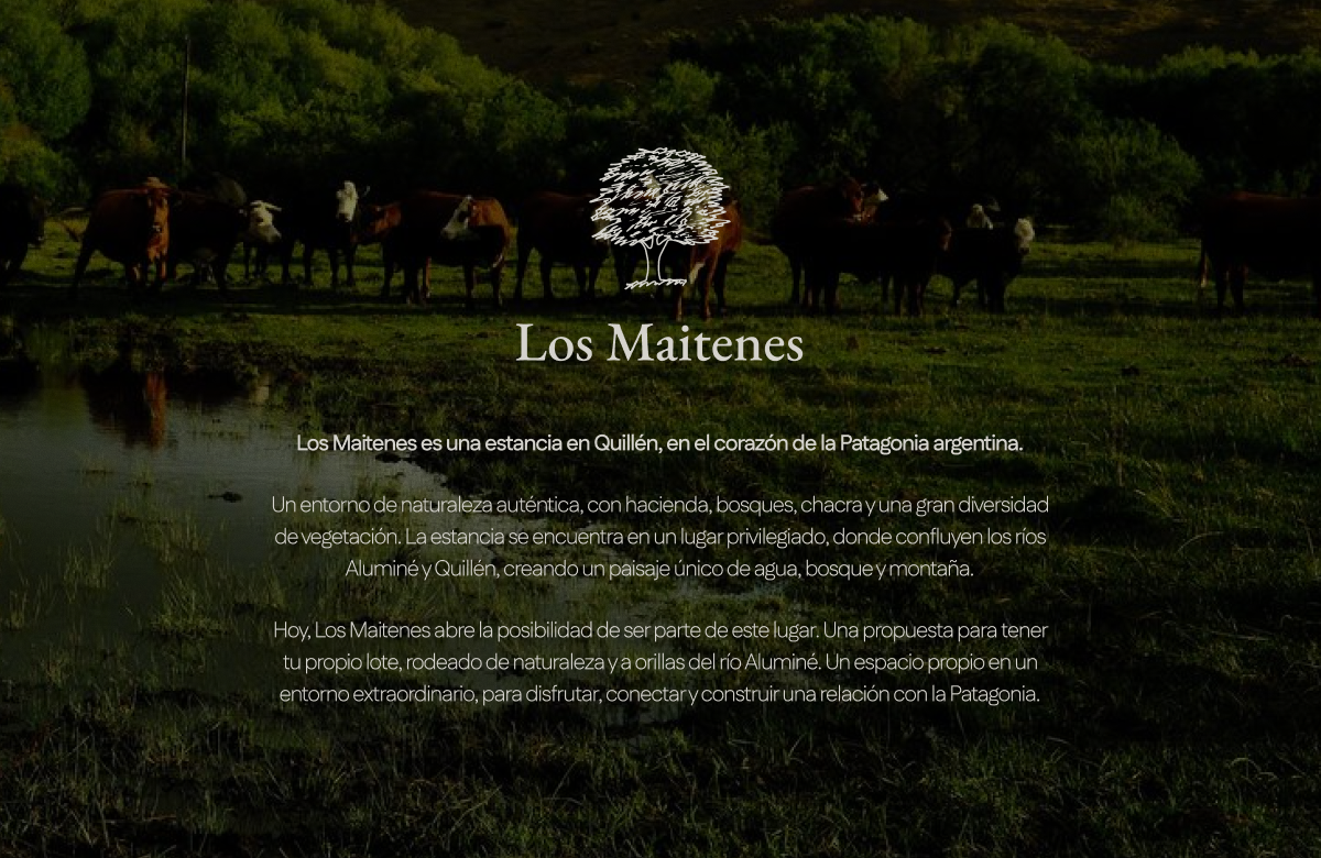 Los Maitenes